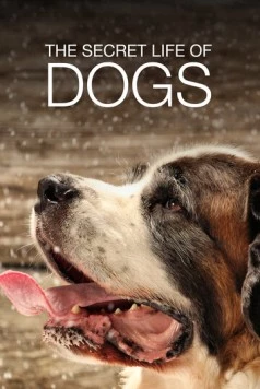Тайная жизнь собак / Secret Life of Dogs (2017) cериал скачать через торрент в хорошем качестве