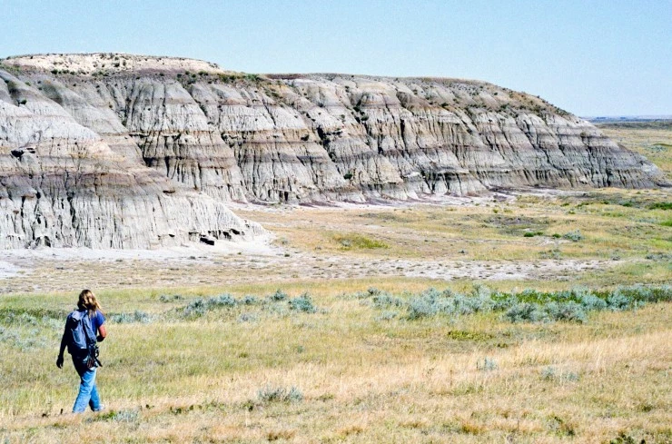 Динозавр 13 (2014) через торрент бесплатно Динозавр 13 (2014) фильм через торрент бесплатно