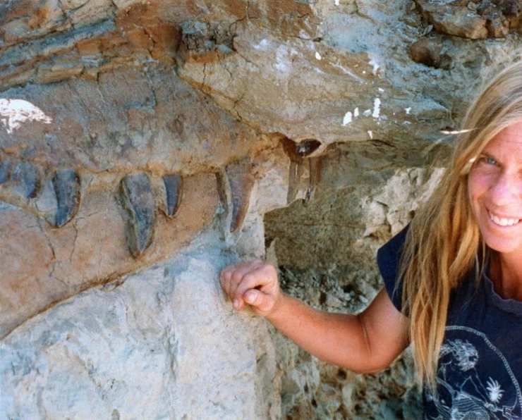 Динозавр 13 (2014) в хорошем качестве через торрент Динозавр 13 (2014) фильм в хорошем качестве через торрент