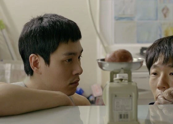 Коала (2013) через торрент скачать Коала (2013) фильм через торрент скачать