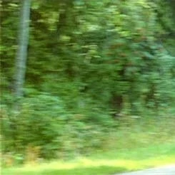 Спасай, кто может (1980) через торрент бесплатно Спасай, кто может (1980) фильм через торрент бесплатно