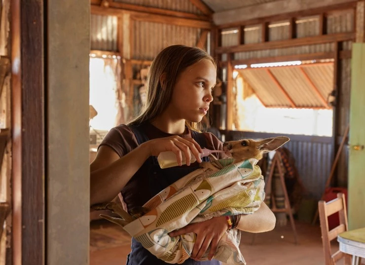 Лиа и кенгуру (2025) через торрент скачать Лиа и кенгуру (2025) фильм через торрент скачать