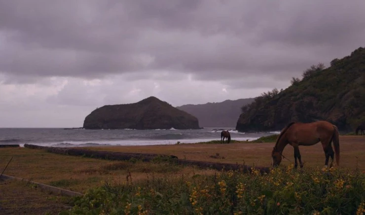 Гоген: В поисках утраченного рая (2019) через торрент бесплатно Гоген: В поисках утраченного рая (2019) фильм через торрент бесплатно