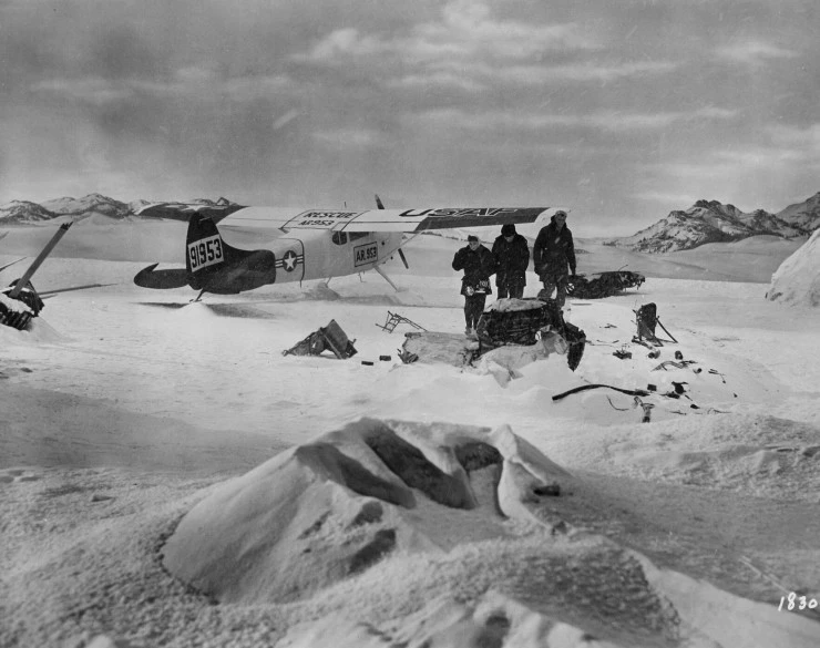 Смертельный богомол (1957) через торрент скачать Смертельный богомол (1957) фильм через торрент скачать