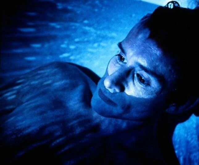 В зимней спячке (1997) через торрент бесплатно В зимней спячке (1997) фильм через торрент бесплатно