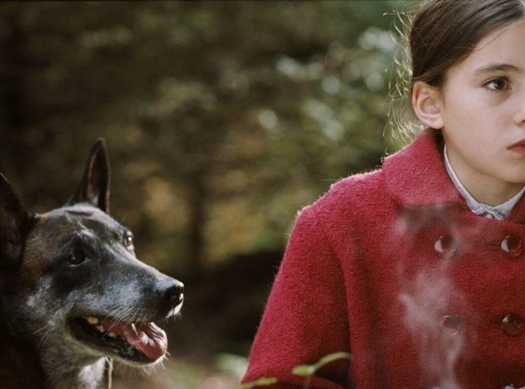 Меня зовут Элизабет (2006) в хорошем качестве через торрент Меня зовут Элизабет (2006) фильм в хорошем качестве через торрент