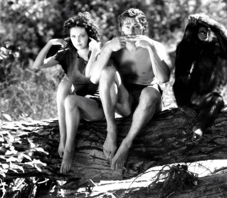 Спасение Тарзана (1936) в хорошем качестве через торрент Спасение Тарзана (1936) фильм в хорошем качестве через торрент