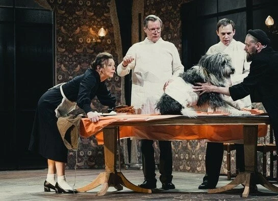 TheatreHD: Собачье сердце (2025) в хорошем качестве через торрент TheatreHD: Собачье сердце (2025) фильм в хорошем качестве через торрент