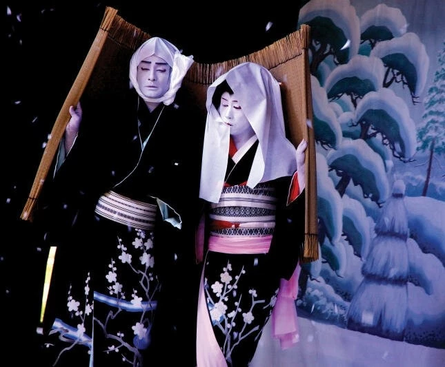 Красота (2009) через торрент скачать Красота (2009) фильм через торрент скачать