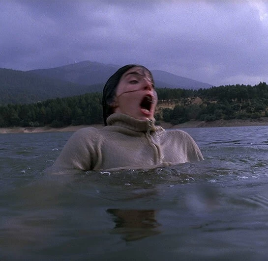 Потаённое (2005) через торрент скачать Потаённое (2005) фильм через торрент скачать