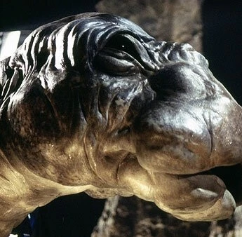 Динозавр Ми-ши: Хозяин озера (2005) через торрент скачать Динозавр Ми-ши: Хозяин озера (2005) фильм через торрент скачать