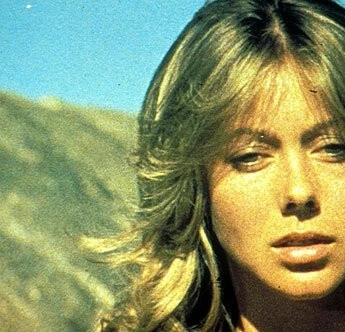 Любовь, пуля и ярость (1978) через торрент бесплатно Любовь, пуля и ярость (1978) фильм через торрент бесплатно