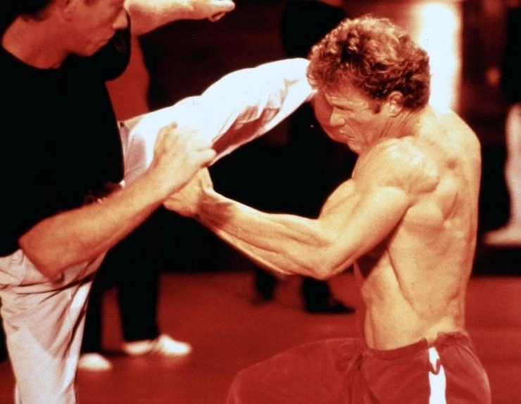 Полицейский вне закона (1993) через торрент скачать Полицейский вне закона (1993) фильм через торрент скачать