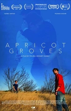 Скачать Абрикосовые рощи / Apricot Groves (2016) фильм через торрент на русском