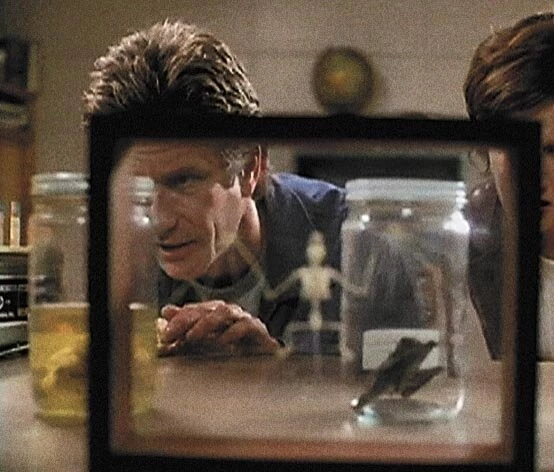 Ночные хищники (2002) в хорошем качестве через торрент Ночные хищники (2002) фильм в хорошем качестве через торрент