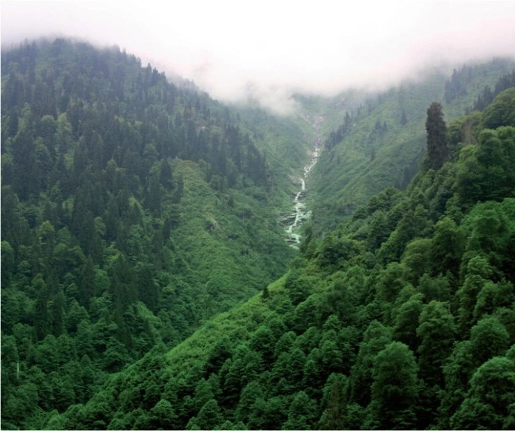 Спроси свое сердце (2010) через торрент скачать Спроси свое сердце (2010) фильм через торрент скачать