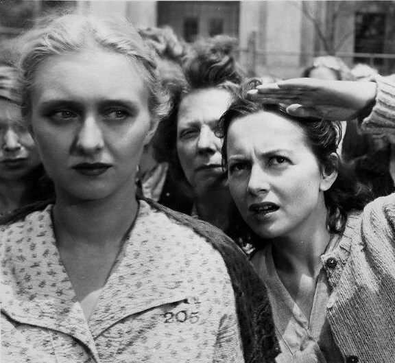 Змеиная яма (1948) через торрент скачать Змеиная яма (1948) фильм через торрент скачать