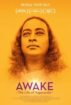 Осознание: Жизнь Йогананды / Awake: The Life of Yogananda (2014) фильм скачать через торрент в хорошем качестве