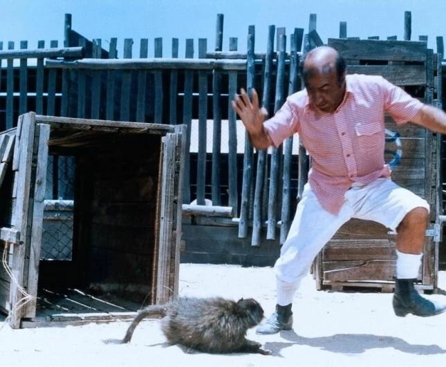 Громила в Африке (1978) через торрент скачать Громила в Африке (1978) фильм через торрент скачать