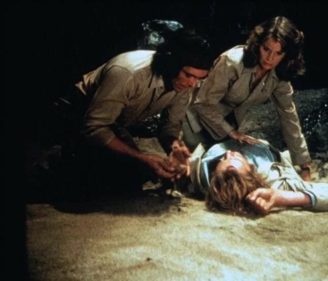 Ночное крыло (1979) через торрент бесплатно Ночное крыло (1979) фильм через торрент бесплатно