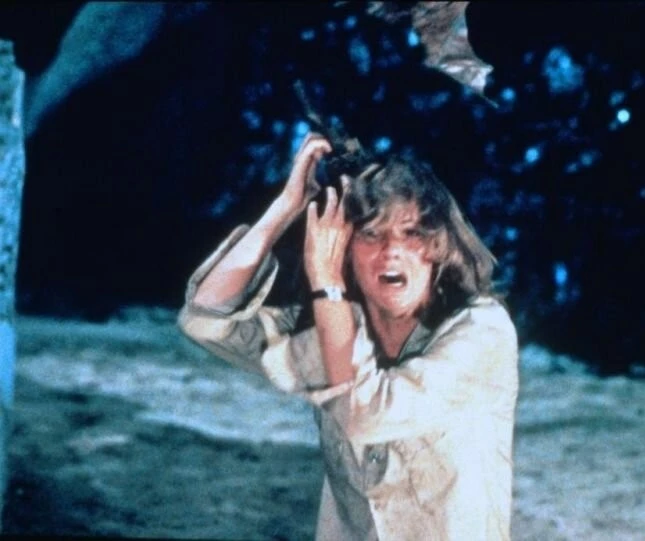 Ночное крыло (1979) через торрент скачать Ночное крыло (1979) фильм через торрент скачать