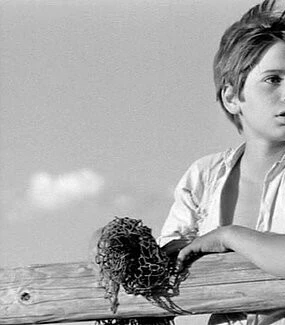 Белая грива: Дикая лошадь (1953) в хорошем качестве через торрент Белая грива: Дикая лошадь (1953) фильм в хорошем качестве через торрент