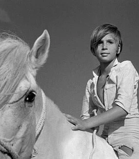 Белая грива: Дикая лошадь (1953) через торрент бесплатно Белая грива: Дикая лошадь (1953) фильм через торрент бесплатно