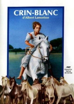Белая грива: Дикая лошадь / Crin blanc: Le cheval sauvage (1953) фильм скачать через торрент в хорошем качестве