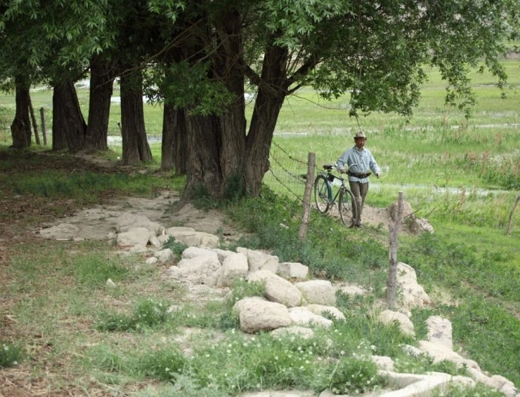 Похититель света (2010) через торрент скачать Похититель света (2010) фильм через торрент скачать