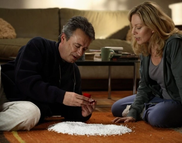 Опустевшее гнездо (2008) через торрент скачать Опустевшее гнездо (2008) фильм через торрент скачать