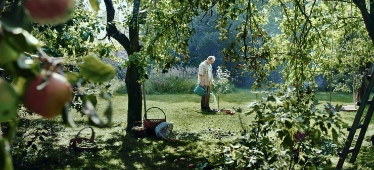 Яблоня (2021) через торрент скачать Яблоня (2021) фильм через торрент скачать