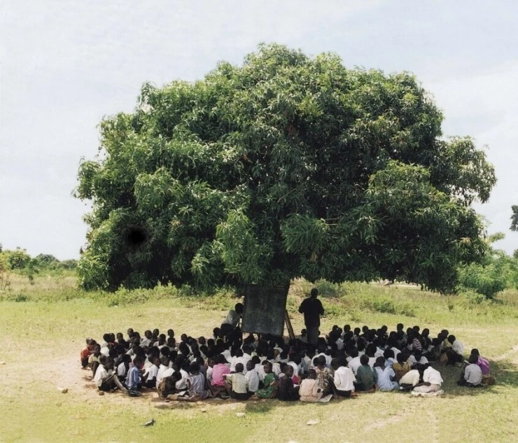 Африка в алфавитном порядке (2001) через торрент бесплатно Африка в алфавитном порядке (2001) фильм через торрент бесплатно