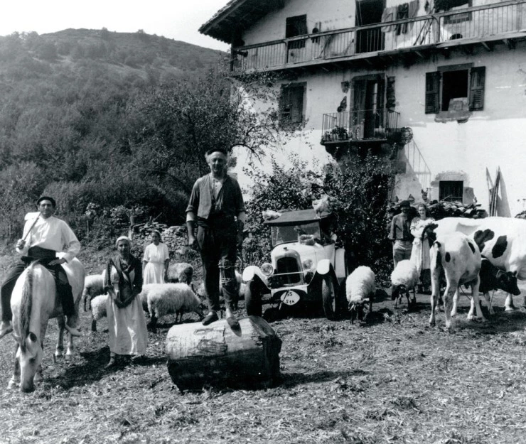 Коровы (1992) через торрент скачать Коровы (1992) фильм через торрент скачать