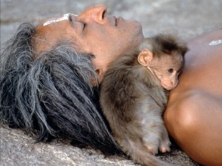 Страна обезьян (1998) через торрент бесплатно Страна обезьян (1998) фильм через торрент бесплатно