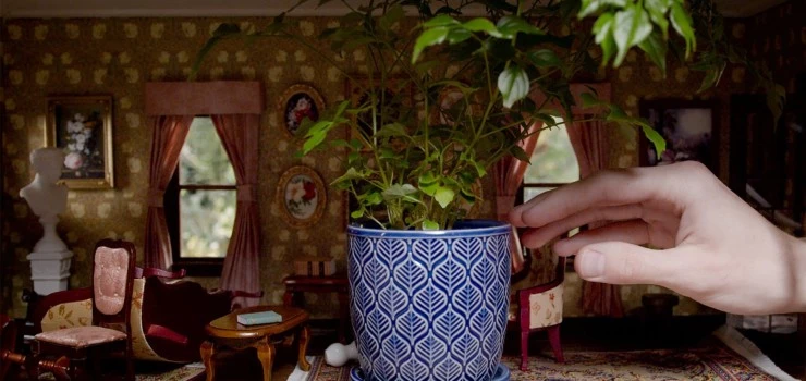 Больше света (2023) через торрент скачать Больше света (2023) фильм через торрент скачать