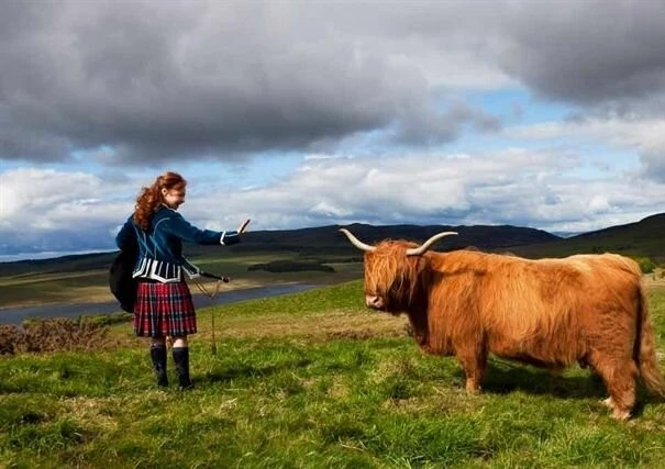 Имоджен МакКартери (2010) в хорошем качестве через торрент Имоджен МакКартери (2010) фильм в хорошем качестве через торрент