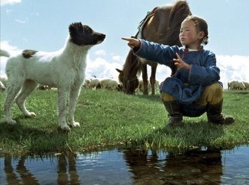 Пещера желтого пса (2005) через торрент бесплатно Пещера желтого пса (2005) фильм через торрент бесплатно