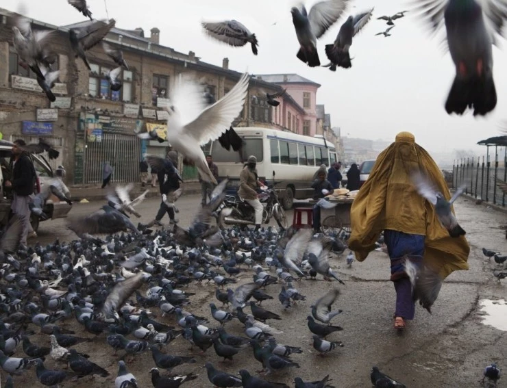 Камень терпения (2012) в хорошем качестве через торрент Камень терпения (2012) фильм в хорошем качестве через торрент