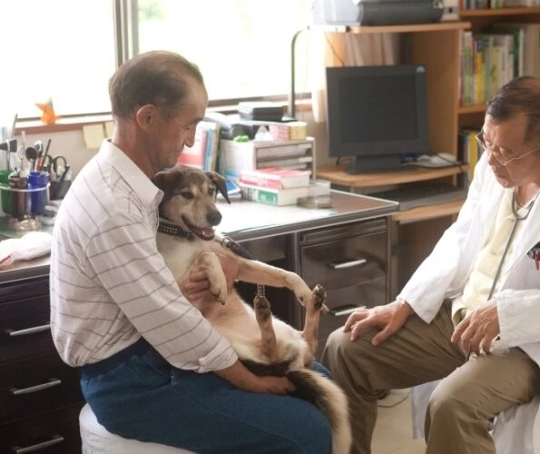 Дорогой доктор (2009) через торрент скачать Дорогой доктор (2009) фильм через торрент скачать