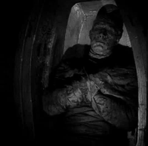 Рука мумии (1940) через торрент бесплатно Рука мумии (1940) фильм через торрент бесплатно