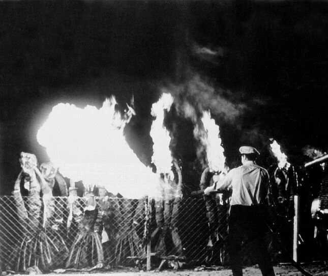 День триффидов (1963) в хорошем качестве через торрент День триффидов (1963) фильм в хорошем качестве через торрент