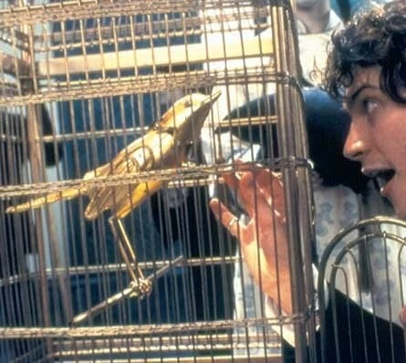 Волшебник страны грез (2003) через торрент скачать Волшебник страны грез (2003) фильм через торрент скачать