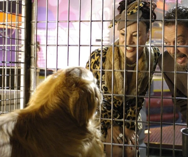 Миллиарды Бэйли (2005) в хорошем качестве через торрент Миллиарды Бэйли (2005) фильм в хорошем качестве через торрент