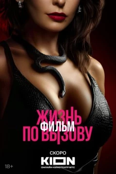 Жизнь по вызову. Фильм сериал скачать через торрент в хорошем качестве
