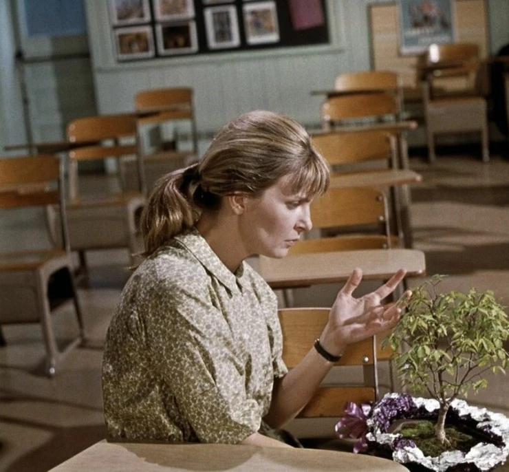 Рэйчел, Рэйчел (1968) в хорошем качестве через торрент Рэйчел, Рэйчел (1968) фильм в хорошем качестве через торрент