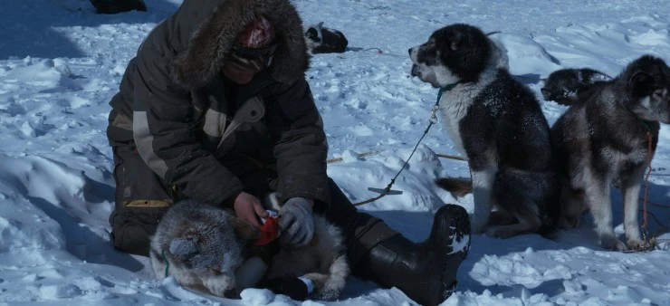 Жить с Надеждой (2022) через торрент скачать Жить с Надеждой (2022) фильм через торрент скачать