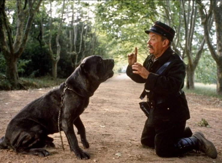 Замок моей матери (1990) через торрент скачать Замок моей матери (1990) фильм через торрент скачать