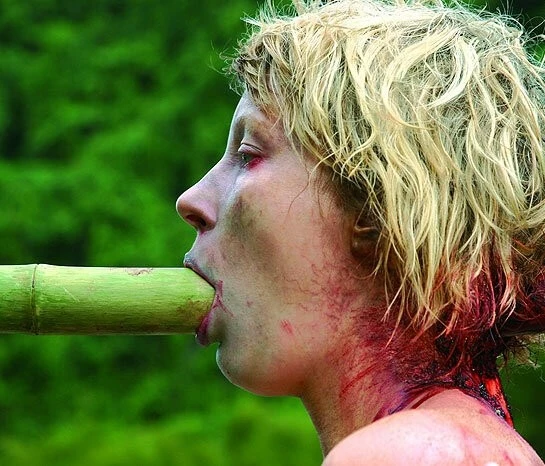 Добро пожаловать в джунгли (2007) через торрент скачать Добро пожаловать в джунгли (2007) фильм через торрент скачать