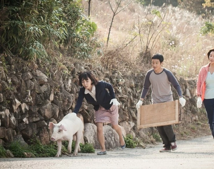 Девушка-свинка (2015) через торрент бесплатно Девушка-свинка (2015) фильм через торрент бесплатно