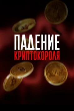 Падение криптокороля / Downfall of the Crypto King (2024) фильм скачать через торрент в хорошем качестве